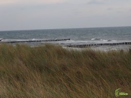 Zingst
