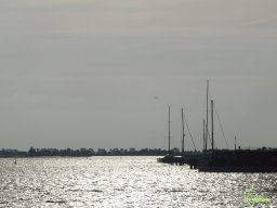 Zingst