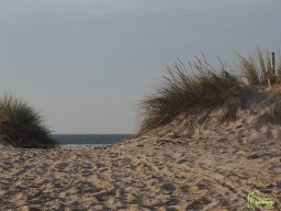 Zingst