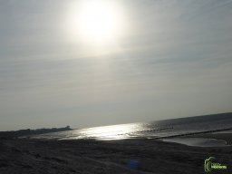 Zingst