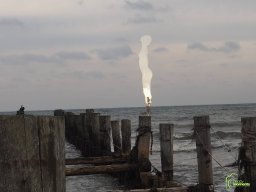 Zingst