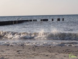Zingst