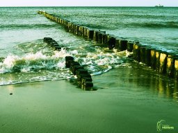Zingst