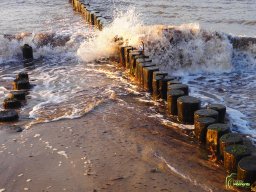 Zingst