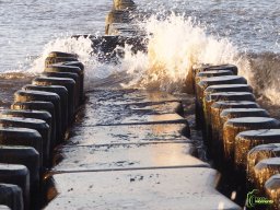 Zingst