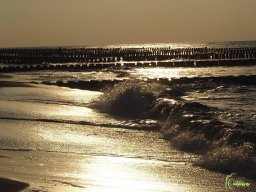 Zingst