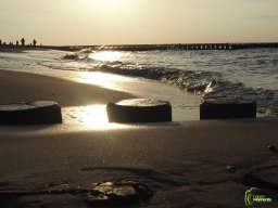 Zingst