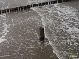Zingst